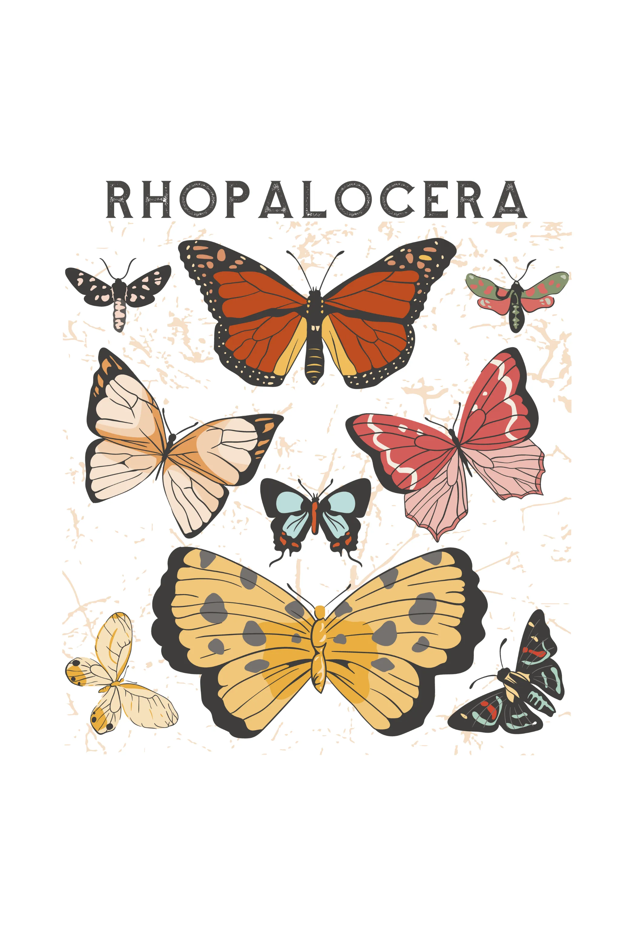Rhopalocera Printed Scoop Neck T-shirt for women