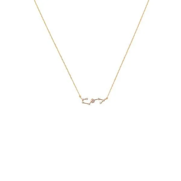 Scorpio Zodiac Necklace 14k Gold
